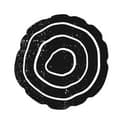 Collective Intelligence Project logo